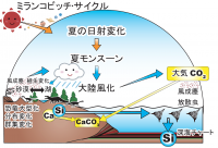 ミランコビッチ・サイクルが地球環境と生態系に与える影響のモデル図。（画像: 東京大学の発表資料より）