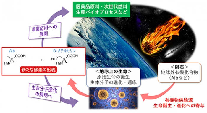 地球外の有機物を食べる微生物を発見、その代謝過程を解明　京大の研究