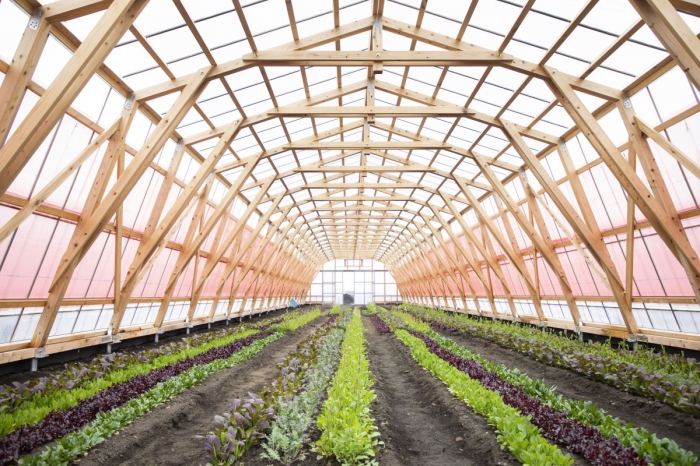 ワタミ、日本最大級の有機農業テーマパークを開業　陸前高田市に