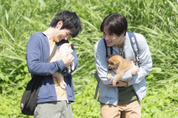 映画「犬部！」メイキング映像公開　犬好き・中川大志の様々な表情にも注目