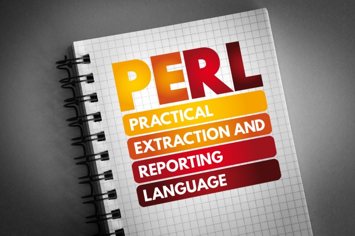 Perlはプログラミングの副業に向いているのか　PythonやRubyとの違いは?