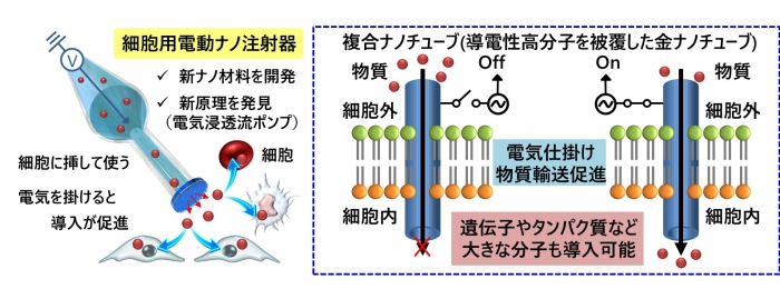 安全で効率的な細胞用電動ナノ注射器を開発　細胞治療・再生医療に応用　早大ら