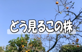 東海ソフト<4430>(東1)は独立系のソフトウェア開発会社である。22年5月期は需要が高水準に推移して増収、営業・経常増益予想としている。第1四半期は大幅増益で過去最高の経常利益だった。第1四半期の進捗率が順調であり、通期ベースでも収益拡大を期待したい。株価は上値の重い展開だが、調整一巡して出直りを期待したい。 東海ソフト<4430>(東1)は独立系のソフトウェア開発会社である。22年5月期は需要が高水準に推移して増収、営業・経常増益予想としている。第1四半期は大幅増益で過去最高の経常利益だった。第1四半期の進捗率が順調であり、通期ベースでも収益拡大を期待したい。株価は上値の重い展開だが、調整一巡して出直りを期待したい。
