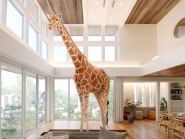 テレビCMで語り切れない魅力は動画サイトで補完。クロスメディアで広告展開する、インパクト抜群のアキュラホームの新CM テレビCMで語り切れない魅力は動画サイトで補完。クロスメディアで広告展開する、インパクト抜群のアキュラホームの新CM