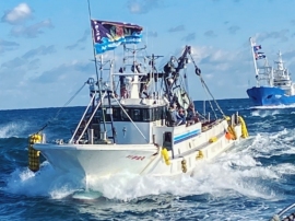 千葉県銚子漁港では小型底引網漁船やまき網漁船が大漁旗をなびかせながら続々と出港。1月5日(水)は、正月ならではの伝統行事の「漕出式(こいでしき)」が行われた。 千葉県銚子漁港では小型底引網漁船やまき網漁船が大漁旗をなびかせながら続々と出港。1月5日(水)は、正月ならではの伝統行事の「漕出式(こいでしき)」が行われた。