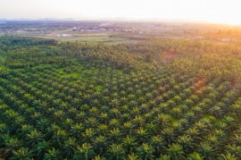 画像はイメージです。 画像はイメージです。