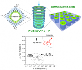 超高速水透過と脱塩を両立するフッ素化ナノチューブ(画像: 東京大学報道発表資料より) 超高速水透過と脱塩を両立するフッ素化ナノチューブ(画像: 東京大学報道発表資料より)