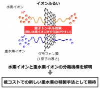 水素と重水素の混合ガスから、重水素を量子トンネル効果によって濃縮分離する概念図（画像: 日本原子力研究開発機構の発表資料より）
