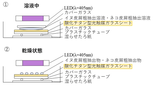 動物アレルギー克服へ　光触媒で原因物質の分解に成功　東大ら