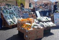 有機野菜の「ビオ・マルシェの宅配」、「京野菜フェスティバル2016」に初参加
