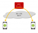 (1) IP-PTT ソリューション(図)