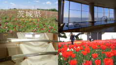 茨城県が訪日観光客に向けた海外向けYouTubeチャンネルに本腰　都会では味わえない、県内44カ所のローカルな魅力を凝縮した海外向け動画を公開