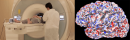 図3：NICT CiNetで導入しているMRI装置(左)とスキャンした結果から推定した脳の活動状態(右)