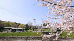 【奈良交通】「奈良交通創立８０周年記念フォトコンテスト」の開催について
