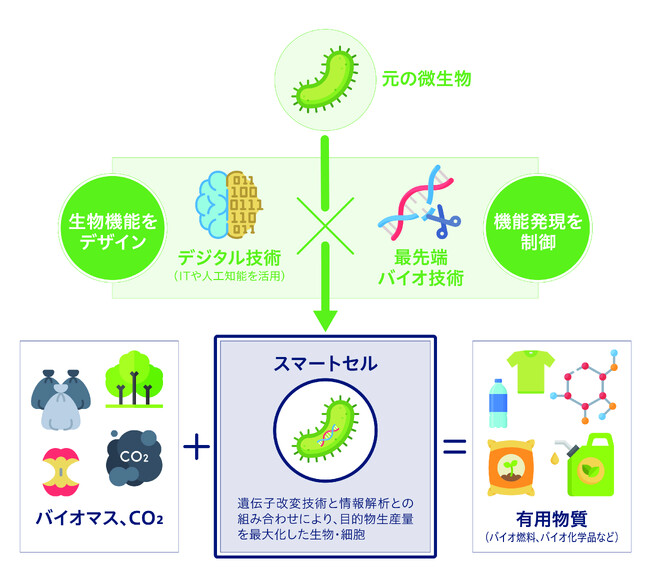 持続可能な社会の実現へ貢献するスマートセル開発に向け、神戸大学発のベンチャー バッカス・バイオイノベーションへ出資