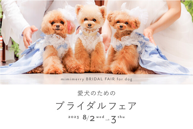 【8月2日(水)・3日(木)限定】愛犬のためのブライダルフェアを神戸異人館で開催