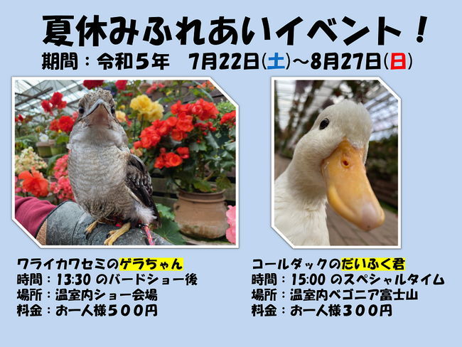 富士花鳥園（静岡県富士宮市）：夏休みふれあいイベントはじまりました！