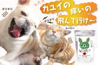 犬・猫のアレルギー、痒み、湿疹のお悩みをサポート！粉末タイプの無添加サプリ「カユイの痒いの飛んで行け」を販売