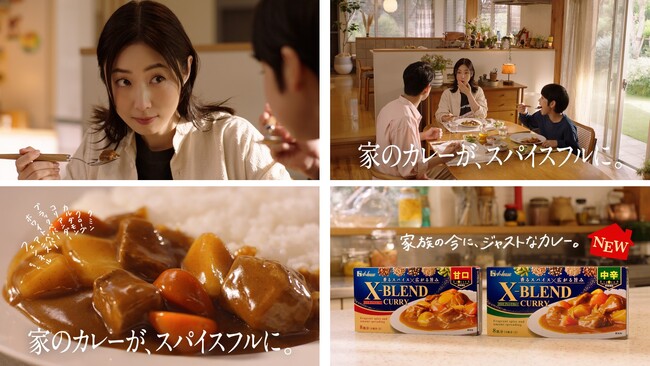 ハウス食品の新ブランド「X-BLEND CURRY（クロスブレンドカレー）」俳優MEGUMIさんをブランドキャラクターに起用