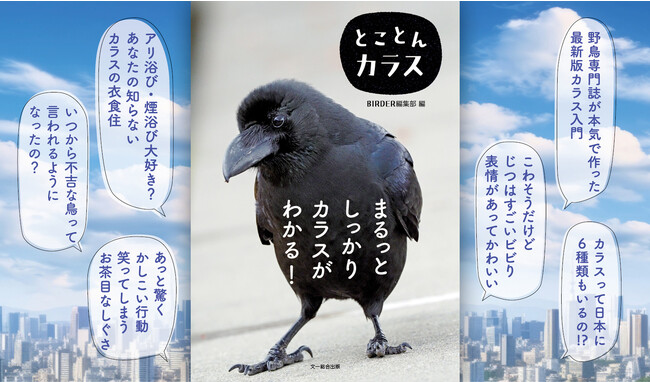 見れば見るほど面白い“カラス”の魅力を徹底解説!野鳥専門誌が本気で作った最新カラス入門