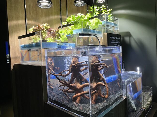 サンシャイン水族館SDGsWeek~生き物のつながり×食~