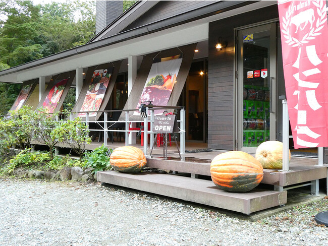 ジャイアントかぼちゃを入口に展示しました!!【栃木県那須町のレストラン】