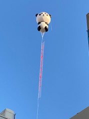 １０／２８は「パンダの日」！パンダ来日５１周年記念企画　上野の空にパンダアドバルーンがあがる！