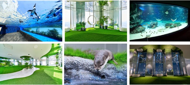 水族館と展望台を約20%引きのお得な特別料金で!【埼玉県民の日】11月14日(火)