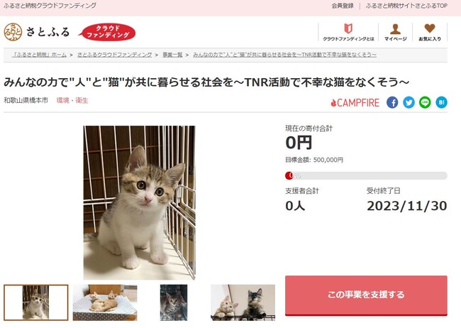 和歌山県橋本市とさとふる、TNR活動を推進し人と猫が住みやすい環境を整えるため寄付受け付けを開始