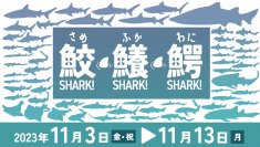 アクアワールド・大洗 特別イベント「鮫(さめ)・鱶(ふか)・鰐(わに)~SHARK!SHARK!SHARK!~」 2023年11月3日(金・祝)~11月13日(月)開催 11月11日(土)はココリコ田中直樹さんが1日館長に就任!