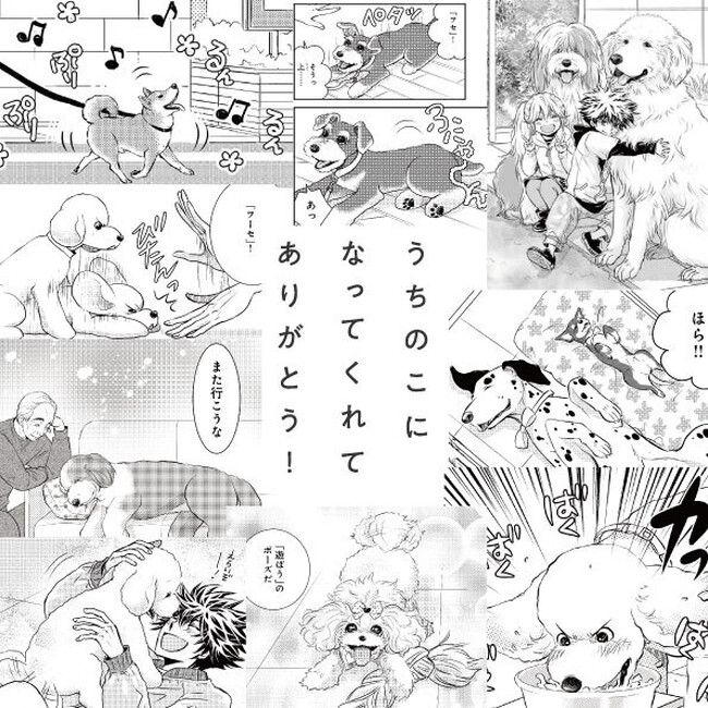 11月1日は犬の日!DOG SIGNAL×犬の日「うちのこ」との時間を大切に