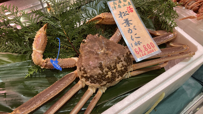 冬の味覚の王様“松葉ガニ”阪急うめだ本店に、いち早く入荷しました!