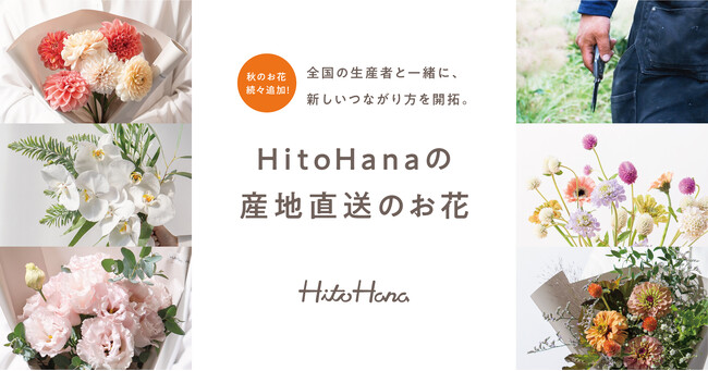 【秋のお花追加】フラワーとグリーンの通販サイト「HitoHana（ひとはな）」が花の産地直送事業を拡大中。スタートから1年、累計23件の産地と提携