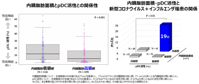 キリンと花王の共同研究で、内臓脂肪と免疫活性に関する日本初※1の発見