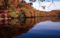 秋の伊東で紅葉を楽しもう　一碧湖＆丸山公園の紅葉が12月上旬見頃に