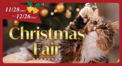 OFTでは11月28日からChristmas Fair（クリスマスフェア）がスタート♪新商品が入った福袋をGETするチャンス！