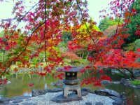 【旧古河庭園】紅葉とバラの見頃入りをお知らせします!