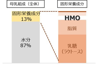 ヒトミルクオリゴ糖3品目が、米国食品医薬品庁へのGRAS通知手続き完了