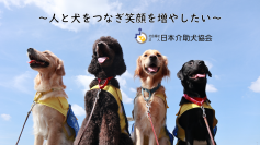 日本介助犬協会が12月31日(日)23時59分まで「ふるさと納税を活用したクラウドファンディング」を実施　～募集期間終了まで残りわずか～