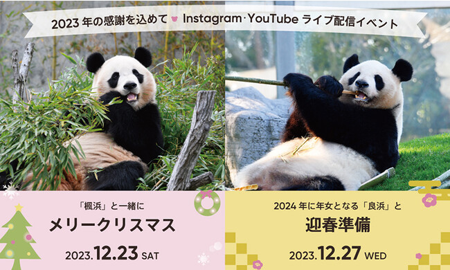 “パンダファミリーと一緒に メリークリスマス&ハッピーニューイヤー