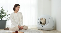 スマホから操作・管理できる自動猫トイレを2万円台から提供。OFTが「CATLINK SE YOUNG」を12月22日よりCAMPFIRE上で販売