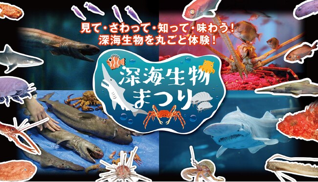 【横浜・八景島シーパラダイス】深海生物を見て、さわって、知って、味わう！『深海生物まつり』【２０２４年１月４日（木）～２月２９日（木）】