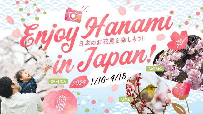 【日本の四季紹介】春節到来!梅から始まる日本のお花見を楽しもう