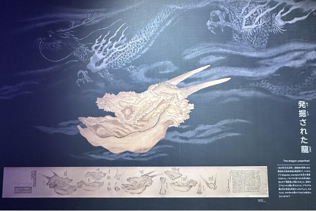 江戸時代に描かれたゾウ化石出土記録絵巻「龍骨図」 実物資料を期間限定で展示します
