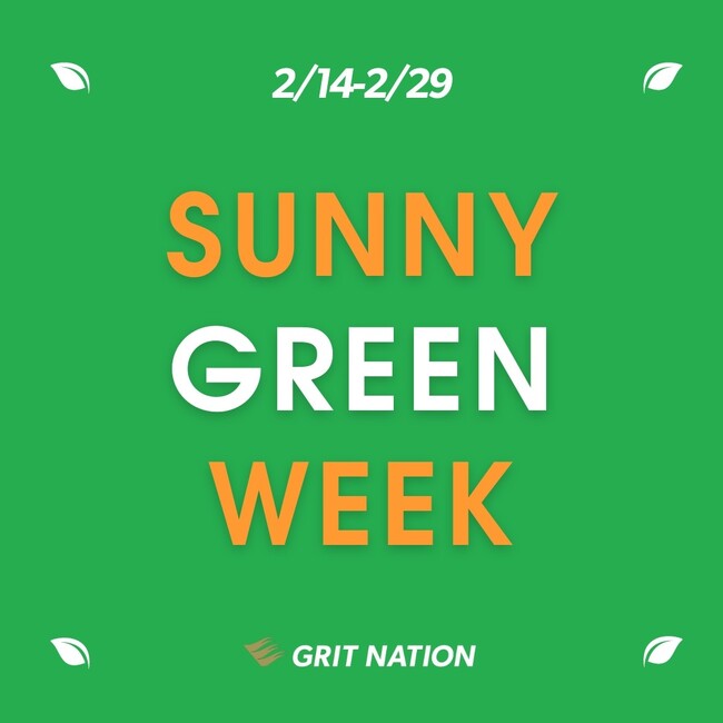 グリーンに癒される、ビタミンサプリメント「Lypo-C+D」と多肉植物のコラボレーション！期間限定POP UP「SUNNY GREEN WEEK」を開催！