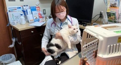 ２月18日（日）、能登半島地震の被災猫が参加して、新しい家族を募集します。～東京千代田区「ちよだ猫まつり2024 保護猫譲渡会」