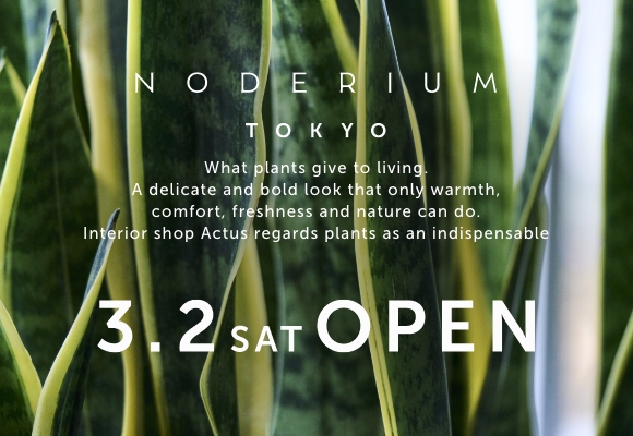 ‟植物との出会いと発見を提供“ グリーンが主役のインテリアショップがオープン!