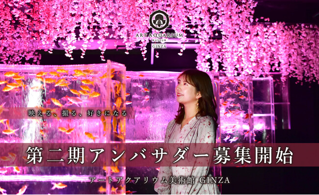 アートアクアリウム美術館 GINZA 1年間の施設公式アンバサダーを募集!