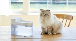株式会社オーエフティーが、自動ネコトイレ「CATLINK」と連動して愛猫の体調管理ができる自動給水器「CATLINK ワイヤレスファウンテン」を3月6日に発売