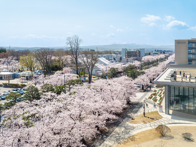 早まる桜の開花予想に合わせて、十和田市春まつりが4月6日(土)より開催!